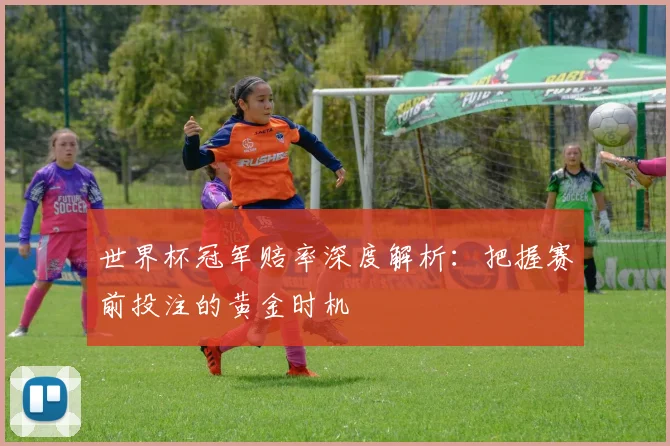 世界杯冠军赔率深度解析：把握赛前投注的黄金时机