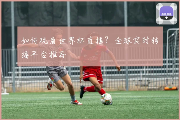 如何观看世界杯直播？全球实时转播平台推荐