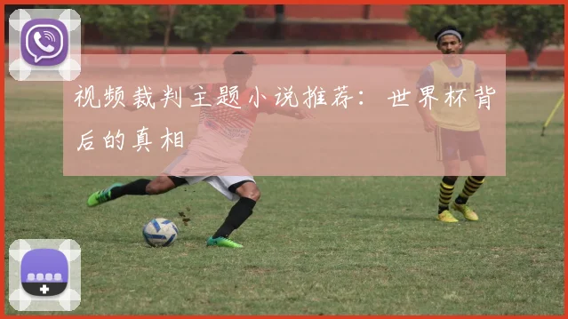 视频裁判主题小说推荐：世界杯背后的真相