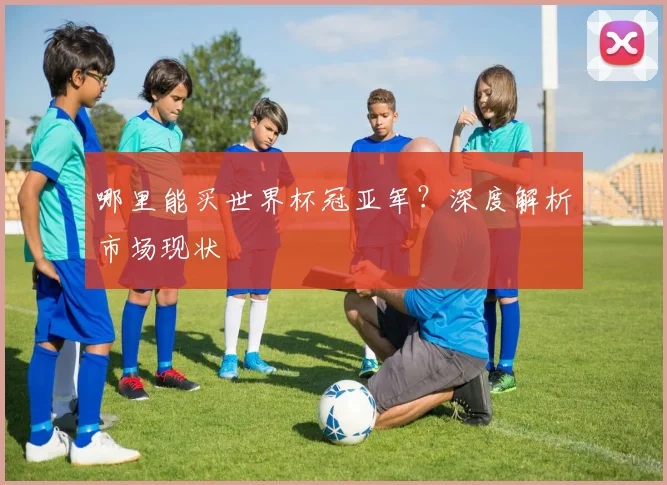 哪里能买世界杯冠亚军？深度解析市场现状