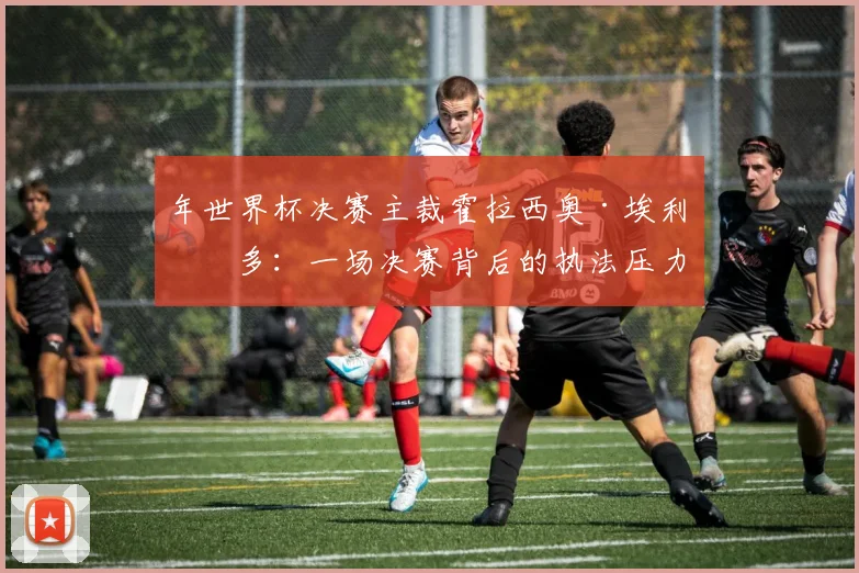 年世界杯决赛主裁霍拉西奥·埃利松多：一场决赛背后的执法压力