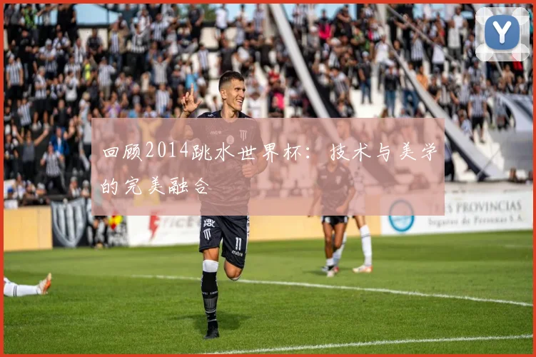 回顾2014跳水世界杯：技术与美学的完美融合