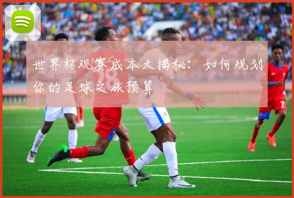 世界杯观赛成本大揭秘：如何规划你的足球之旅预算