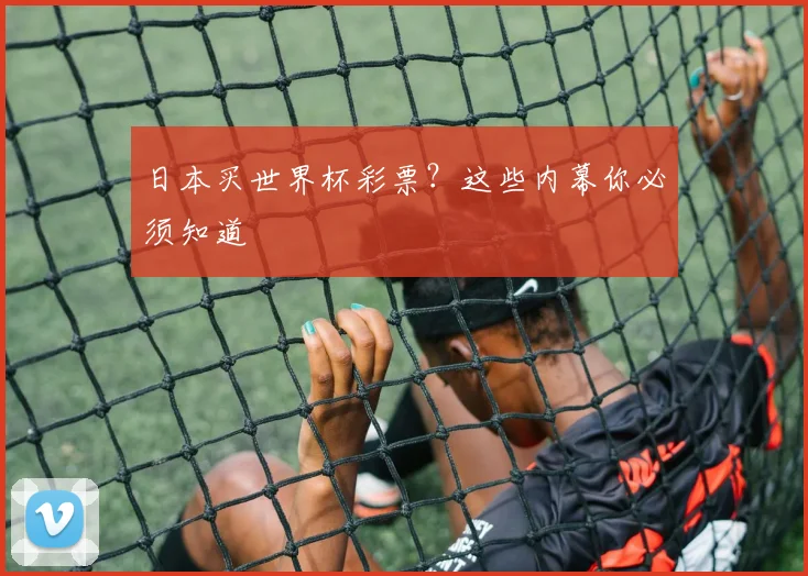 日本买世界杯彩票？这些内幕你必须知道